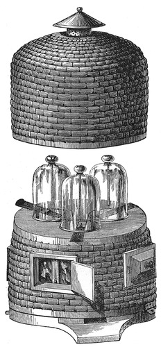 illustration of Neighbour's Improved Cottage Hive from  1878